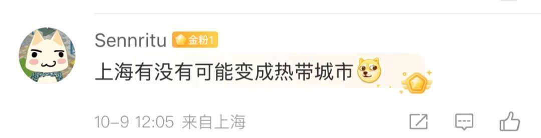 确认了！上海天气即将转折，降温+降雨！10月还和蚊子大战？桂花刷新“最晚”纪录