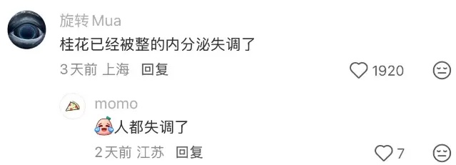 确认了！上海天气即将转折，降温+降雨！10月还和蚊子大战？桂花刷新“最晚”纪录