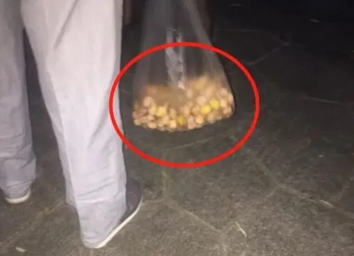 别捡,别吃,有毒!多地街头已出现 别捡,别吃,有毒!多地街头已出现