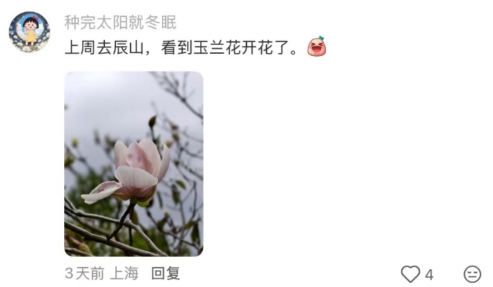确认了！上海天气即将转折，降温+降雨！10月还和蚊子大战？桂花刷新“最晚”纪录