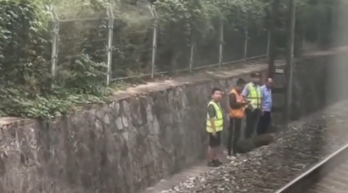 野猪闯入轨道撞上行驶列车当场死亡！列车被迫停运，铁路局回应