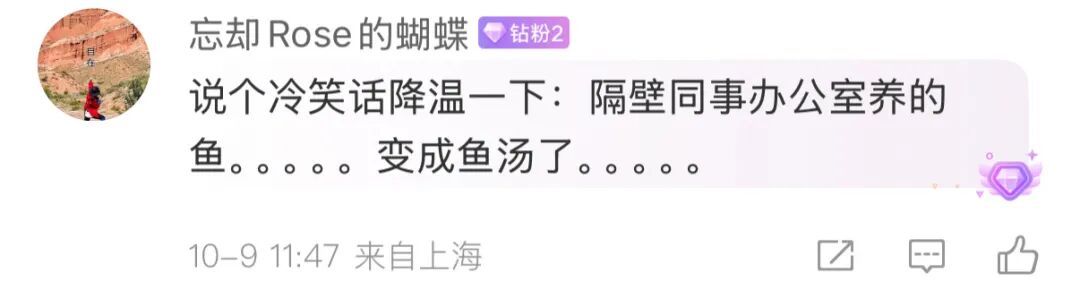 确认了！上海天气即将转折，降温+降雨！10月还和蚊子大战？桂花刷新“最晚”纪录