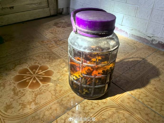 男子轻信“毒蛇泡酒能治风湿”，捕猎“五步蛇”遭蛇咬致残，因非法狩猎野生动物被刑拘