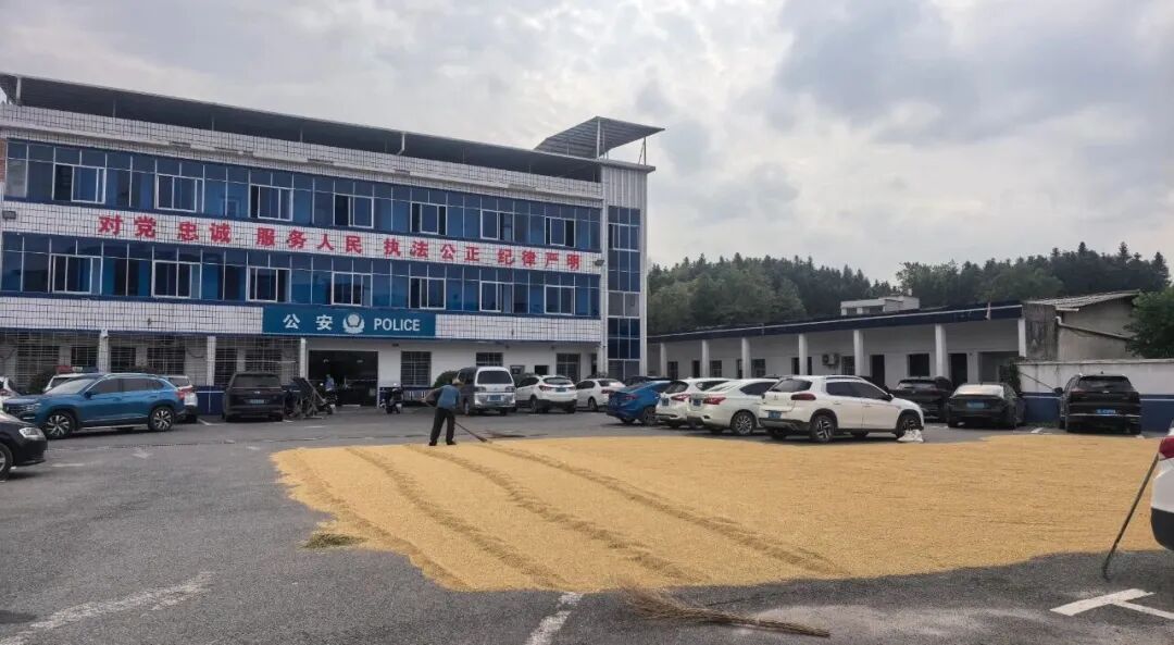 不怕偷，还帮收！派出所、交警大院又铺满了