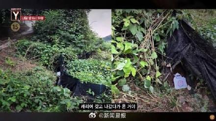 25岁韩国女主播确认遇害！警方公布详情！类似事件频发热议
