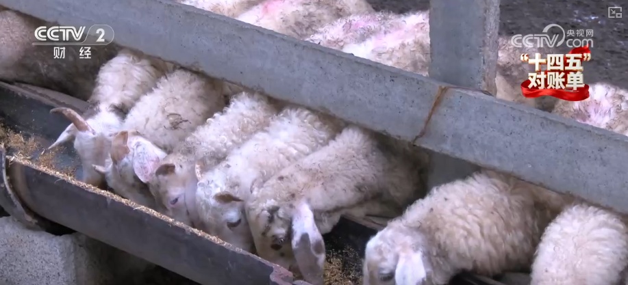 重塑发展格局 多组亮眼数据铸就“金融与实体经济共生共荣”生动答卷