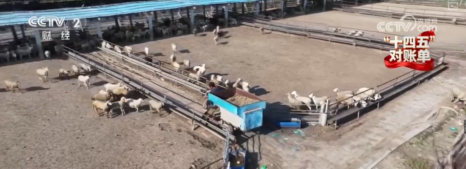 重塑发展格局 多组亮眼数据铸就“金融与实体经济共生共荣”生动答卷