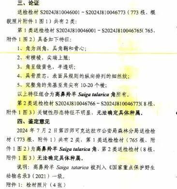跨国走私1474根高鼻羚羊角，涉案金额1.18亿元！6人分别被判刑9年至6年不等