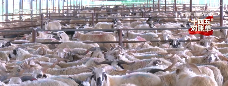 重塑发展格局 多组亮眼数据铸就“金融与实体经济共生共荣”生动答卷