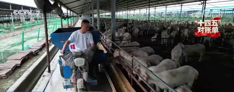 重塑发展格局 多组亮眼数据铸就“金融与实体经济共生共荣”生动答卷