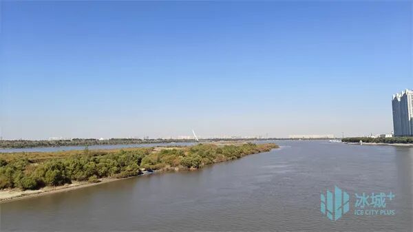 冰城晴暖天气余额不足，周日冷空气“发货”