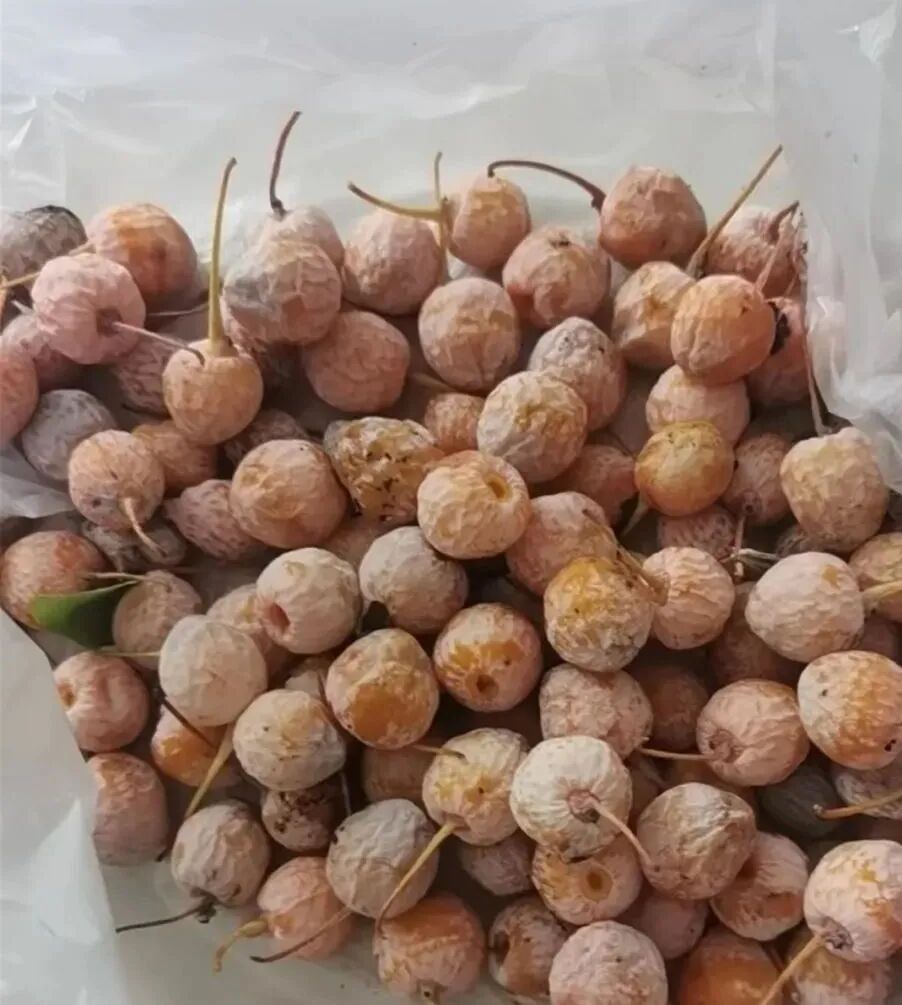 西安街头大量出现! 紧急提醒：千万别乱吃