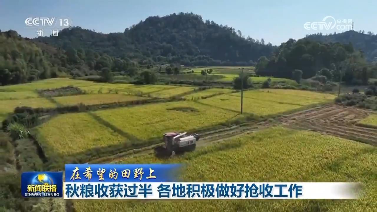 【在希望的田野上】秋粮收获过半 各地积极做好抢收工作