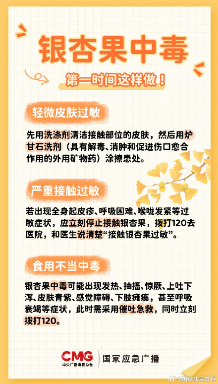 有毒！路边这种小果子不能捡