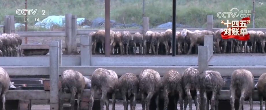 重塑发展格局 多组亮眼数据铸就“金融与实体经济共生共荣”生动答卷