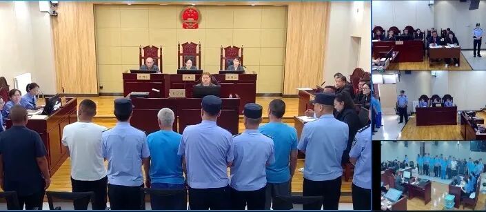 团伙走私高鼻羚羊角1474根！6人获刑！