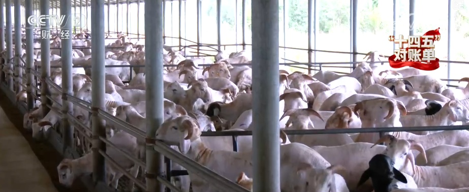 重塑发展格局 多组亮眼数据铸就“金融与实体经济共生共荣”生动答卷