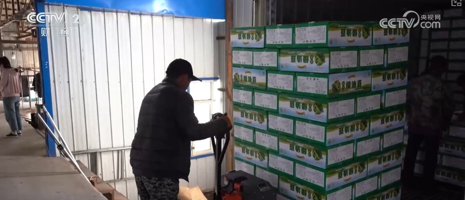 “北菜”端上南方人家餐桌 “通道+枢纽+网络”现代物流体系夯实北菜南运基础