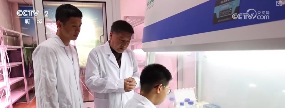 “北菜”端上南方人家餐桌 “通道+枢纽+网络”现代物流体系夯实北菜南运基础