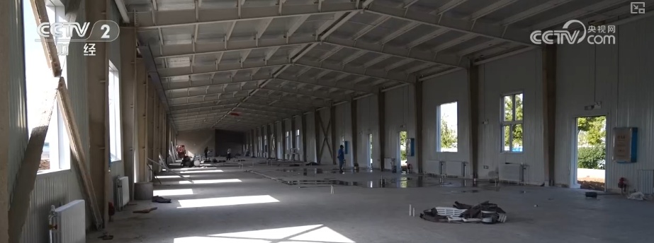 “北菜”端上南方人家餐桌 “通道+枢纽+网络”现代物流体系夯实北菜南运基础