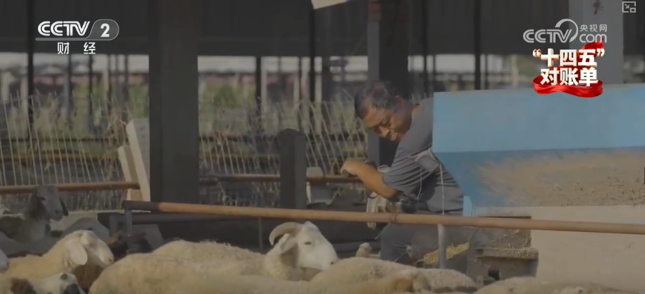 重塑发展格局 多组亮眼数据铸就“金融与实体经济共生共荣”生动答卷