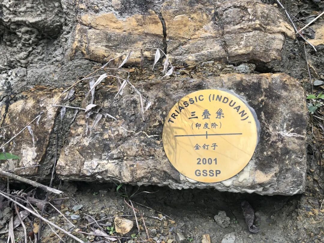 “钉”住地球记忆的“金钉子”，中国已有11颗
