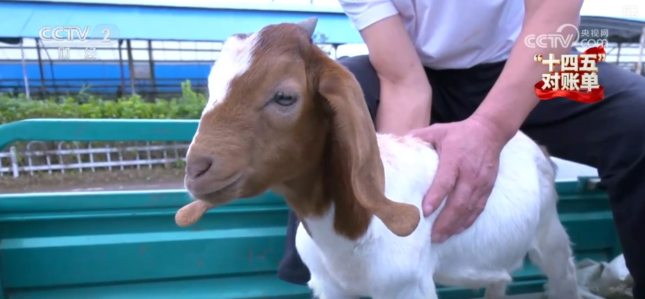 重塑发展格局 多组亮眼数据铸就“金融与实体经济共生共荣”生动答卷