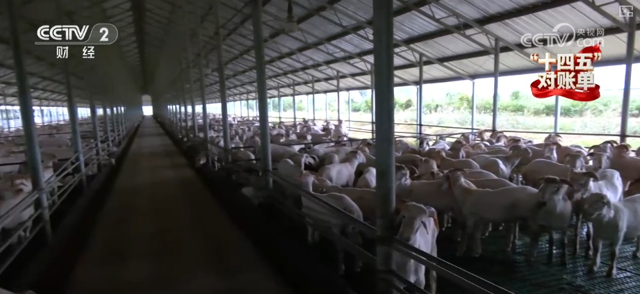 重塑发展格局 多组亮眼数据铸就“金融与实体经济共生共荣”生动答卷