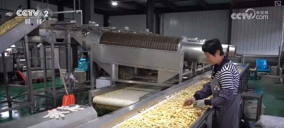 “北菜”端上南方人家餐桌 “通道+枢纽+网络”现代物流体系夯实北菜南运基础