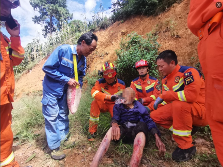 云南一93岁老人上山捡菌失联近两天后获救,被发现时意识清醒 云南一93岁老人上山捡菌失联近两天后获救,被发现时意识清醒