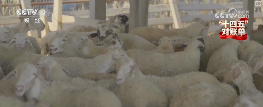 重塑发展格局 多组亮眼数据铸就“金融与实体经济共生共荣”生动答卷