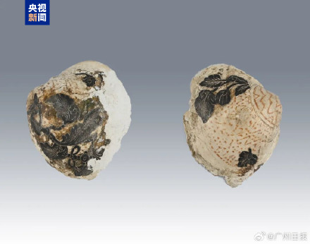 陕西发现名相张九龄夫人墓地