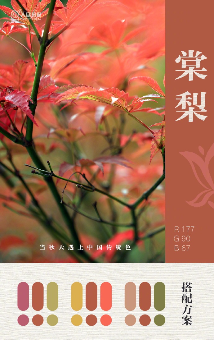 大美中国的秋日配色太高级了！