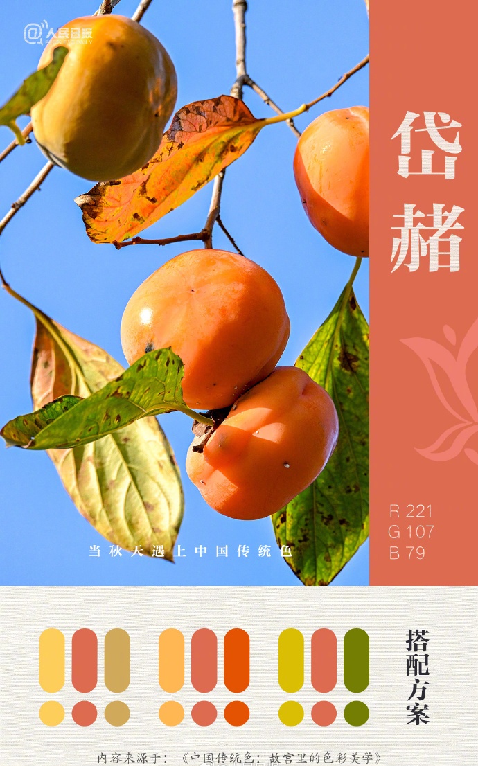 大美中国的秋日配色太高级了！