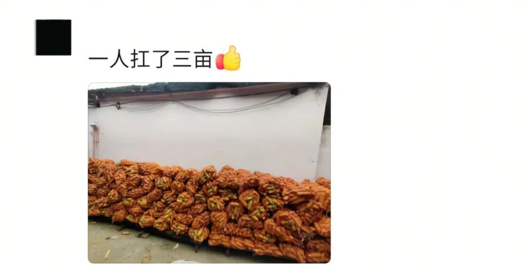 “区区美甲，不耽误和奶奶扯花生！”