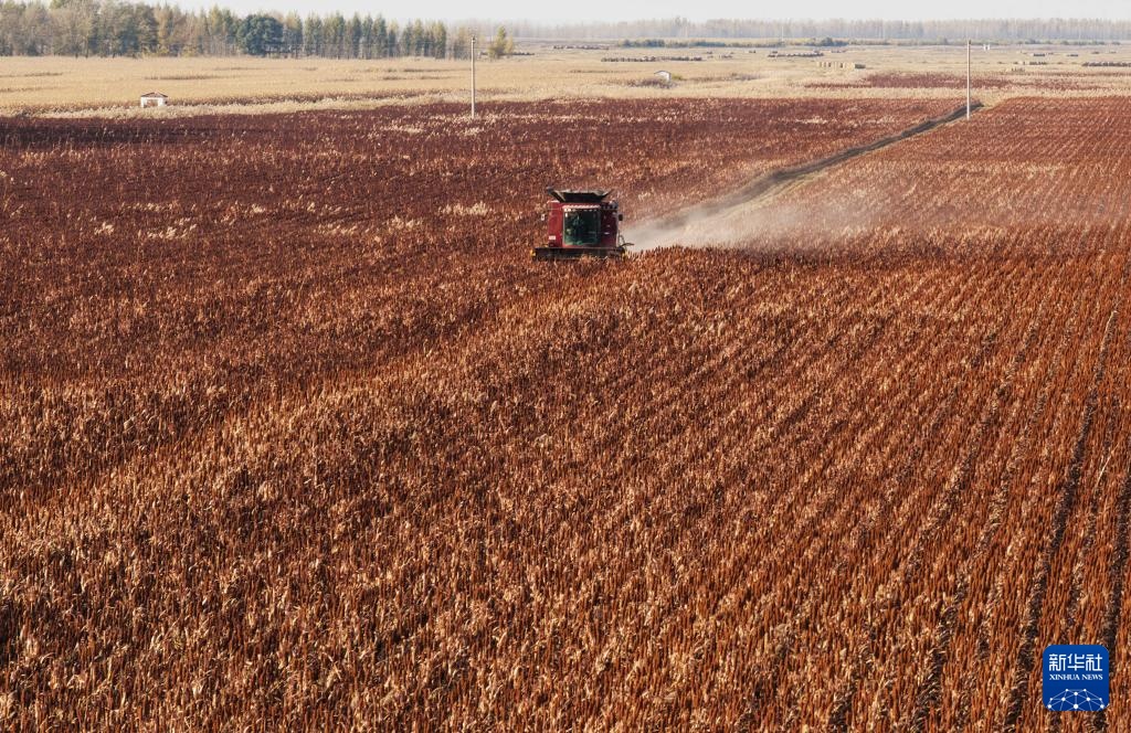 沃土为基 粮丰满仓