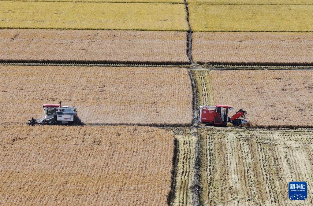 沃土为基 粮丰满仓