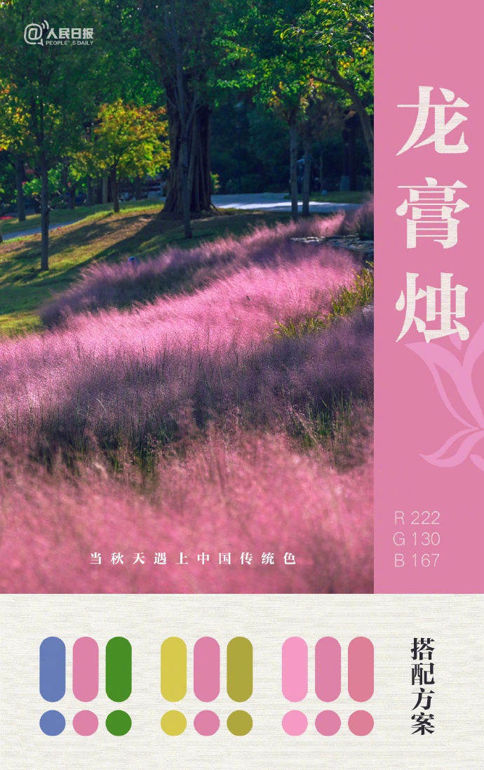 大美中国的秋日配色太高级了！
