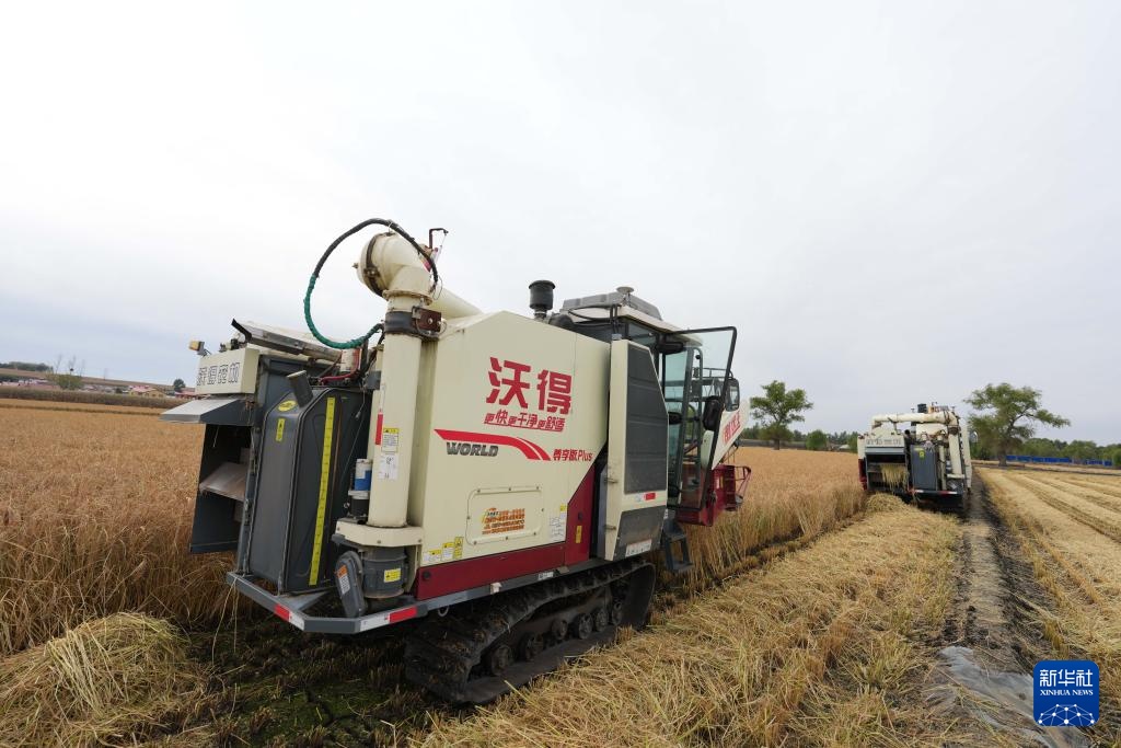 沃土为基 粮丰满仓
