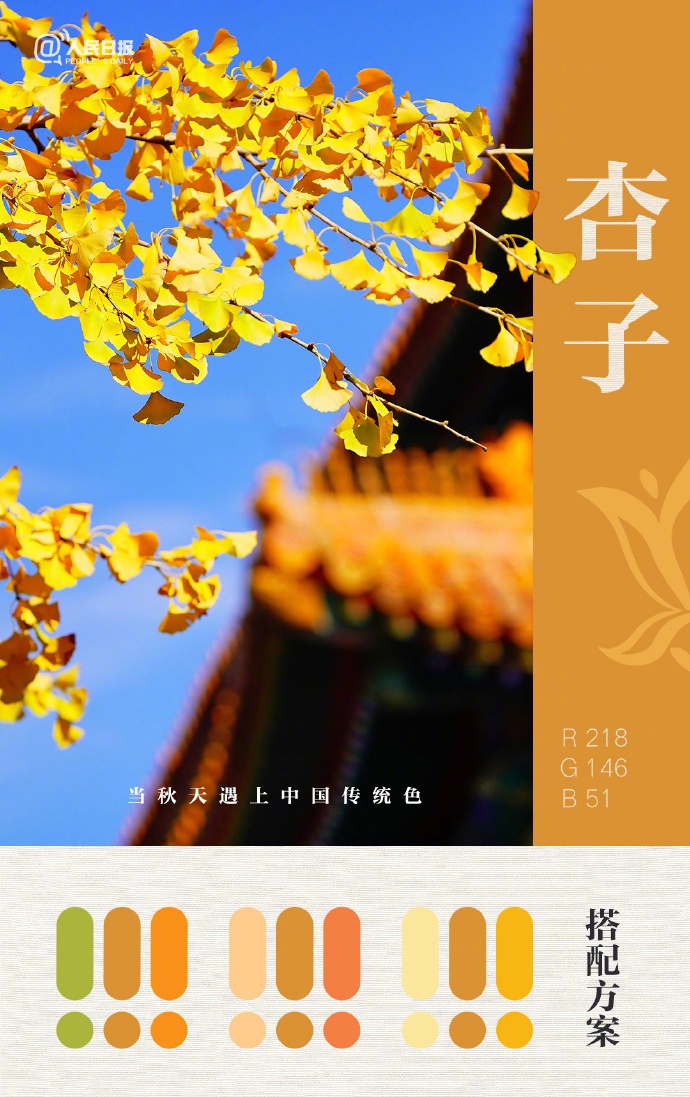 大美中国的秋日配色太高级了！