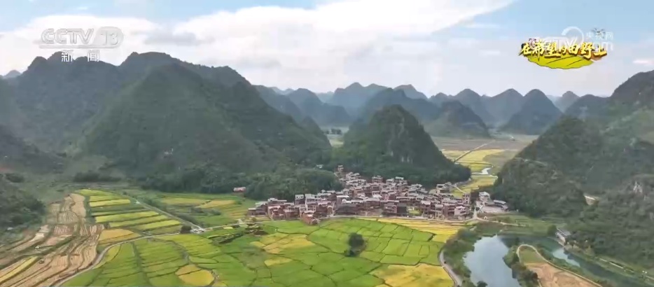 田间地头处处好“丰”景 机械化助力秋收“加速度”