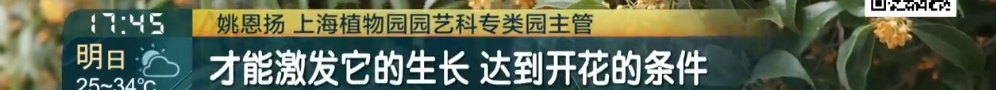 上海比埃及还热？今天更猛！百年纪录一破再破！冷空气真的要来了，倒计时