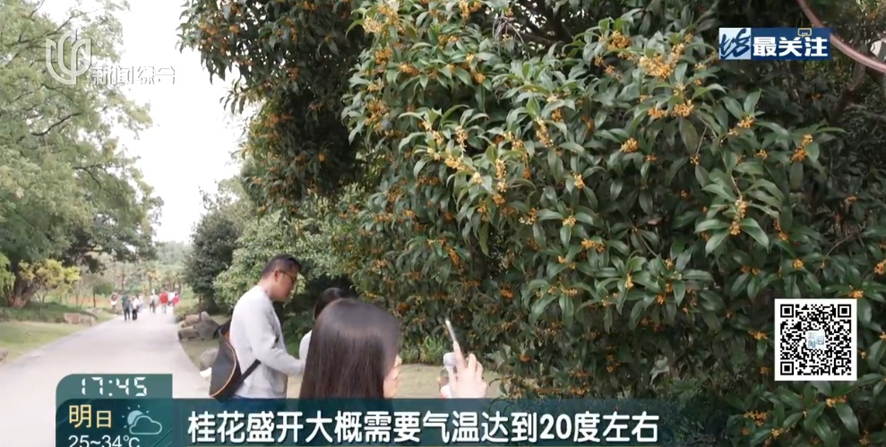 上海比埃及还热？今天更猛！百年纪录一破再破！冷空气真的要来了，倒计时