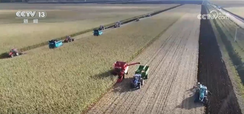 “小包裹”映照经济“大棋局” 透过1500亿件快递看高质量发展“新脉动”