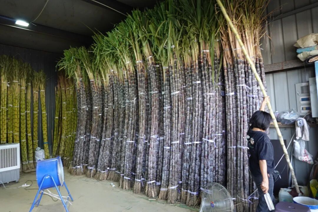 宁波已集中上市！天气冷一点，会更好吃