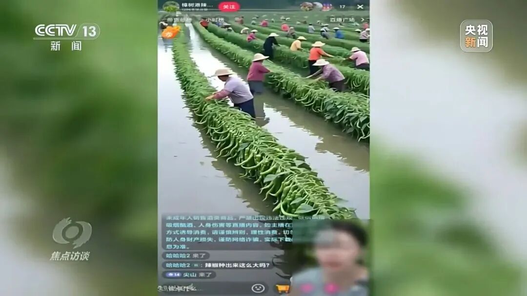 女主播正带货,身后农户诡异“融”进辣椒里…… 女主播正带货,身后农户诡异“融”进辣椒里……