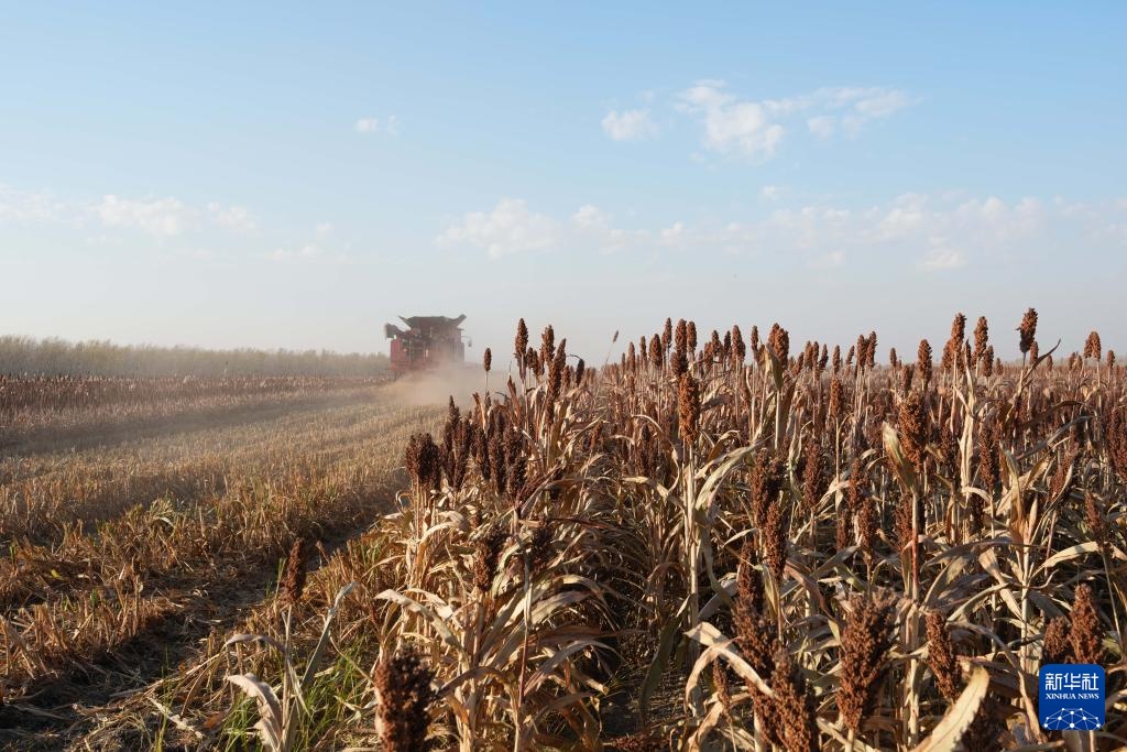 沃土为基 粮丰满仓