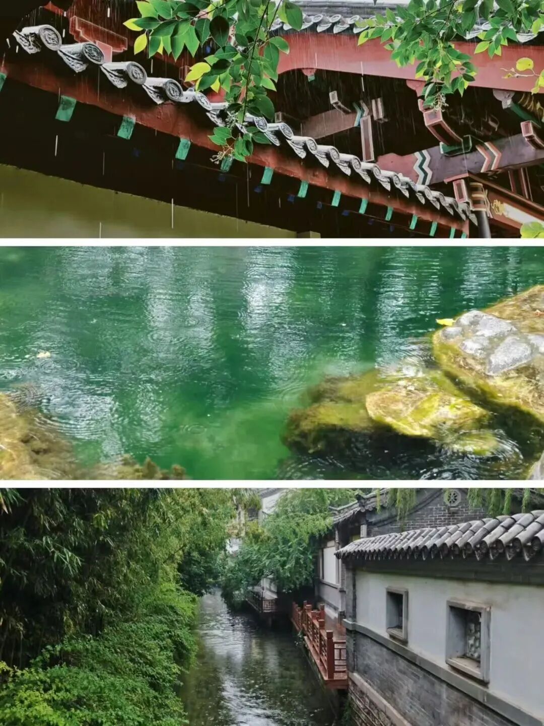 30米！趵突泉水位再创新高！