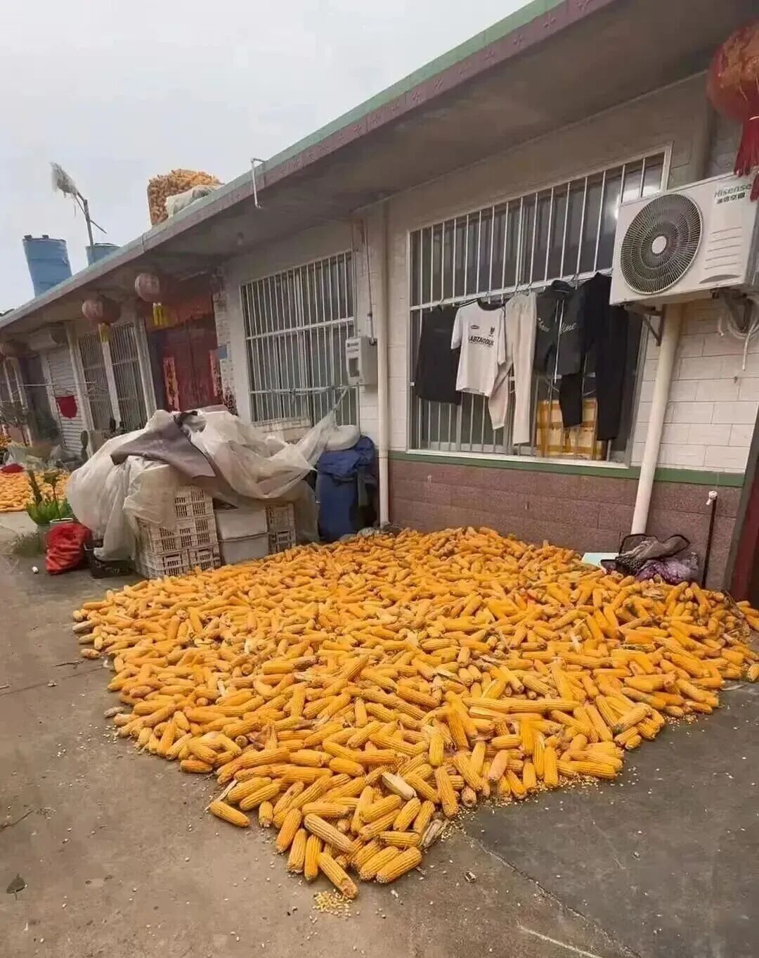 “区区美甲，不耽误和奶奶扯花生！”