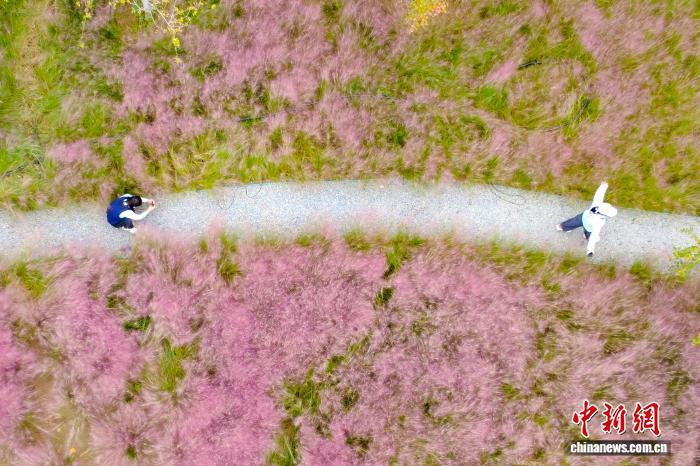 河南划定黄河流域生态保护红线7020平方公里 河南划定黄河流域生态保护红线7020平方公里